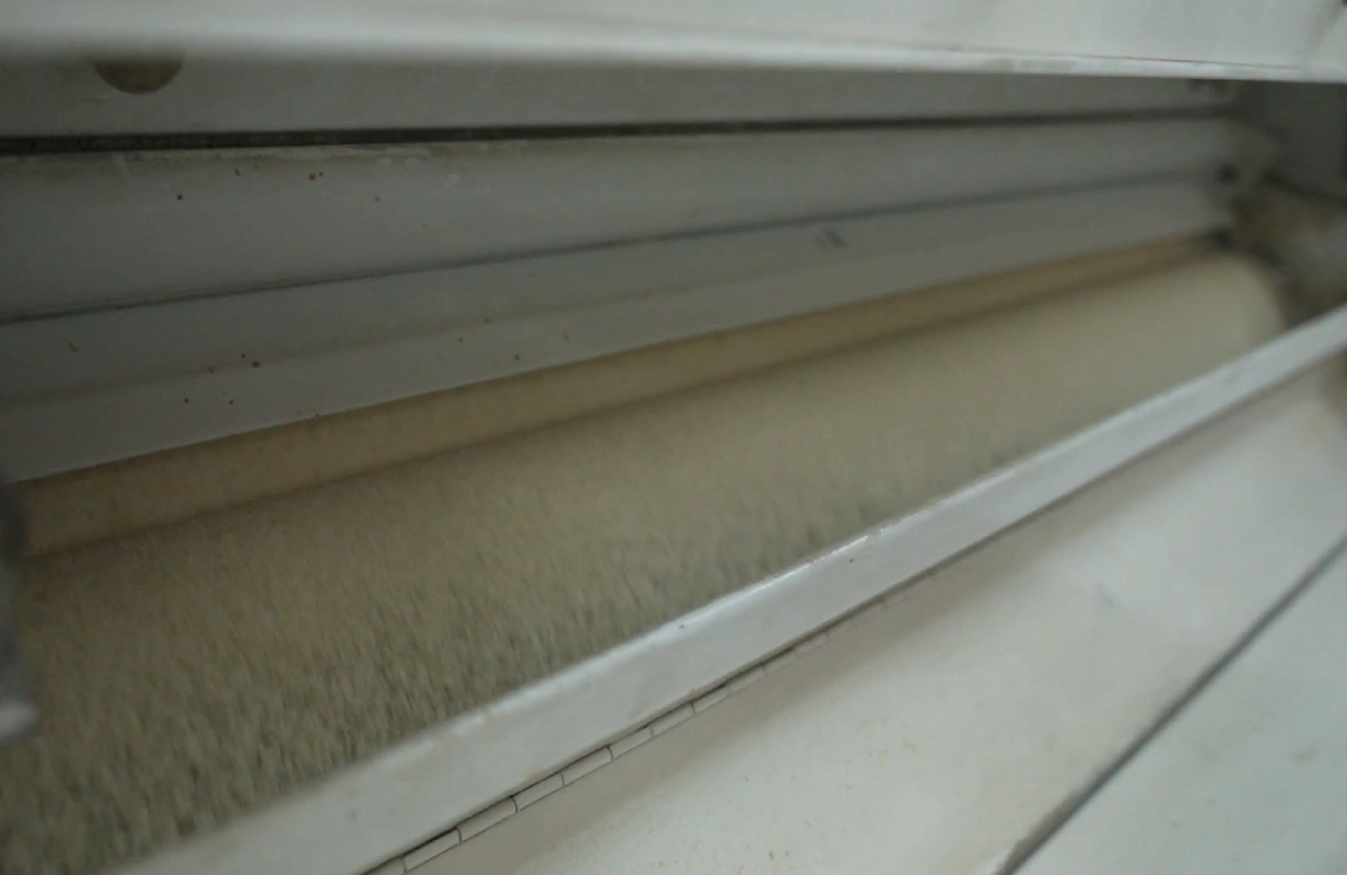 Cleaning and Conditioning