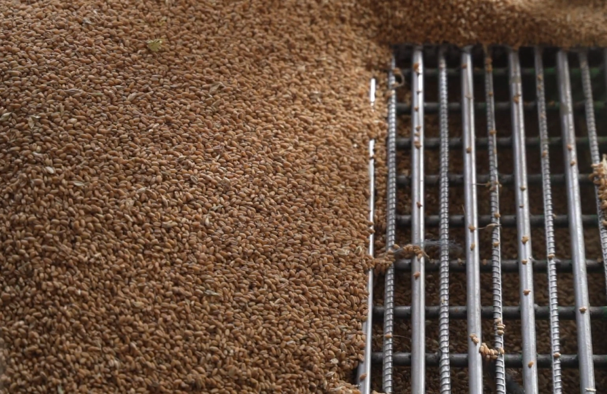 Receiving and Testing