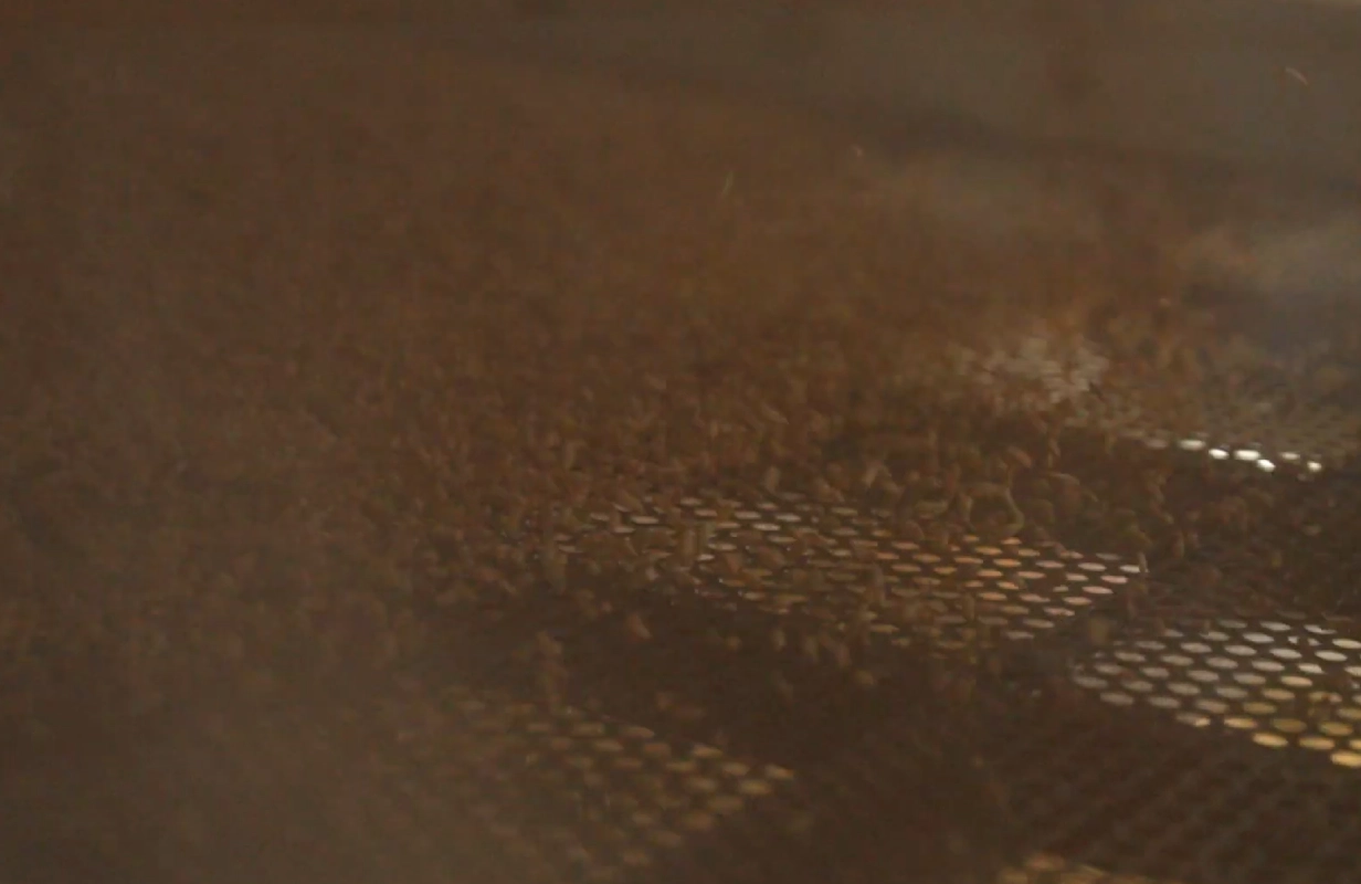 Pre-Cleaning and Storage